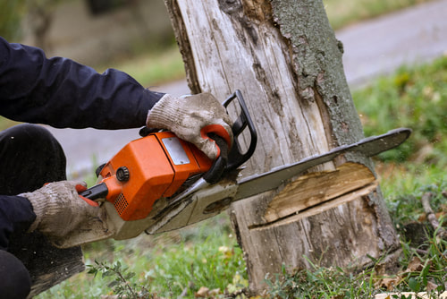 Person with chainsaw removing a tree